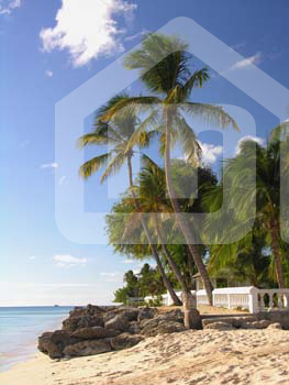 outdoor_335692