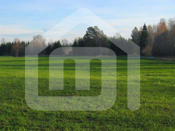 outdoor_683055