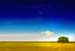 outdoor_135068 copy