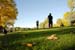 outdoor_19256161