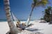 outdoor_20657887