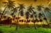 outdoor_2871455