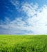 outdoor_2901467