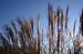 outdoor_681063